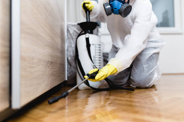 Best Local Pest Control Services  in Oakwood, GA