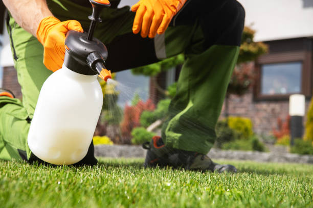 Best Rodent Control Near Me  in Oakwood, GA