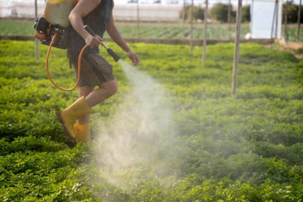 Best Pest Removal Services  in Oakwood, GA
