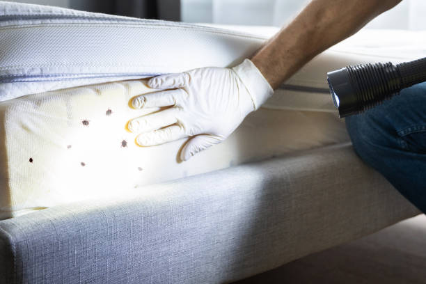 Best Bed Bug Extermination  in Oakwood, GA