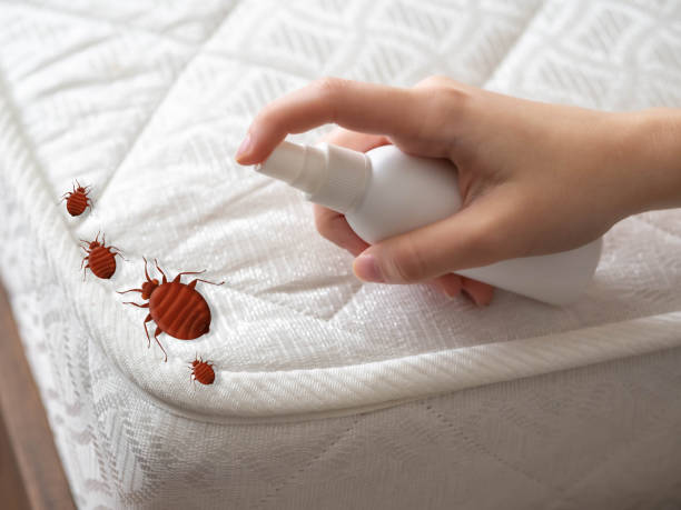 Best Commercial Pest Control Services  in Oakwood, GA