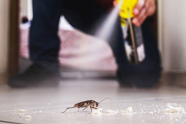 Professional Pest Control in Oakwood, GA