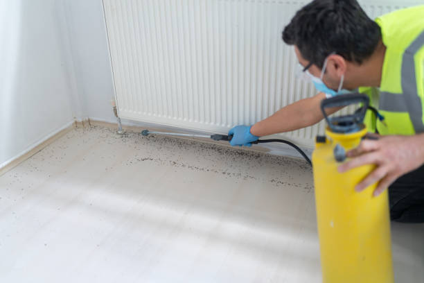 Best Cockroach Control Services  in Oakwood, GA
