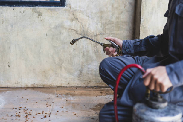 Best Affordable Pest Control Services  in Oakwood, GA
